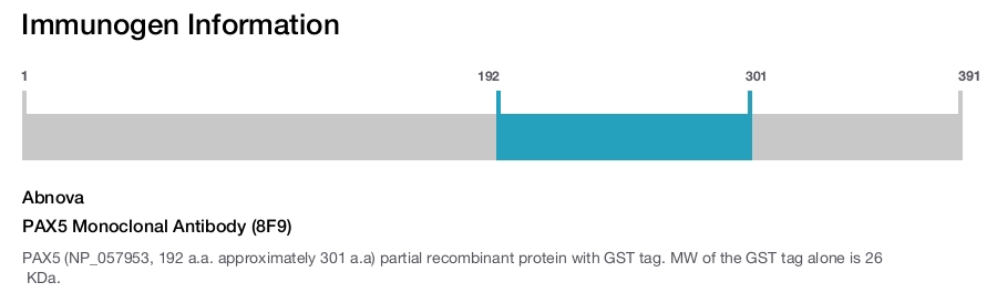 PAX5 Monoclonal Antibody (8F9)