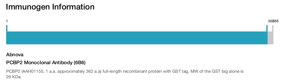 PCBP2 Monoclonal Antibody (6B6)