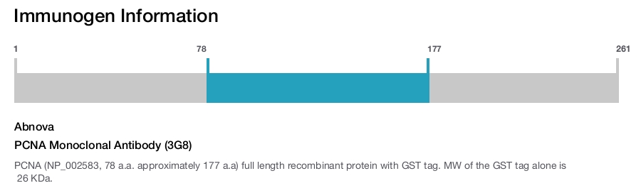 PCNA Monoclonal Antibody (3G8)