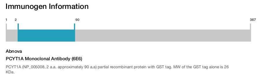 PCYT1A Monoclonal Antibody (6E6)