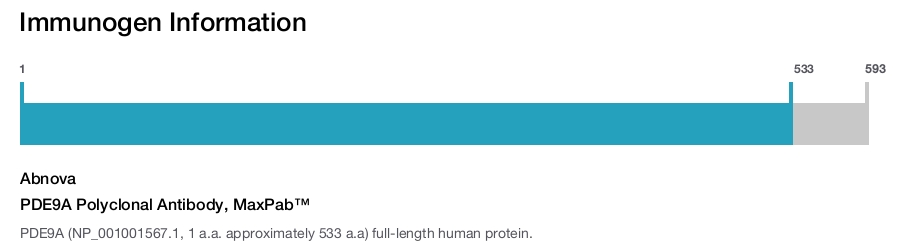 PDE9A Polyclonal Antibody, MaxPab™