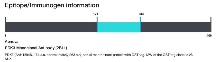 PDK3 Monoclonal Antibody (2B11)