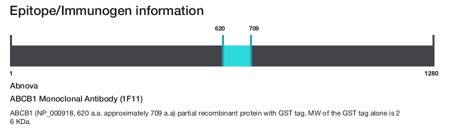 ABCB1 Monoclonal Antibody (1F11)