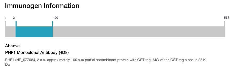 PHF1 Monoclonal Antibody (4D8)