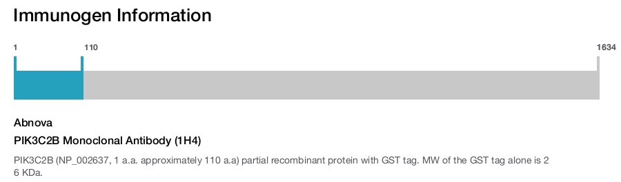 PIK3C2B Monoclonal Antibody (1H4)