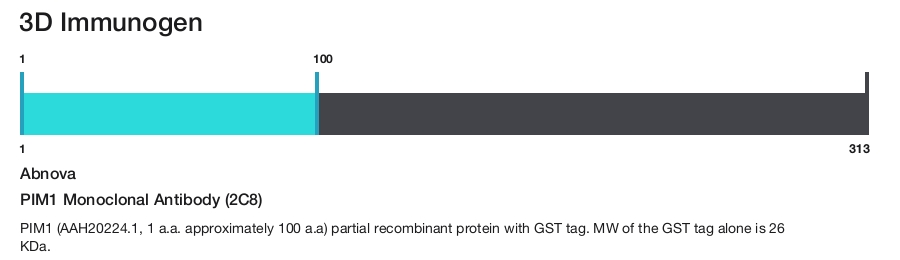 PIM1 Monoclonal Antibody (2C8)
