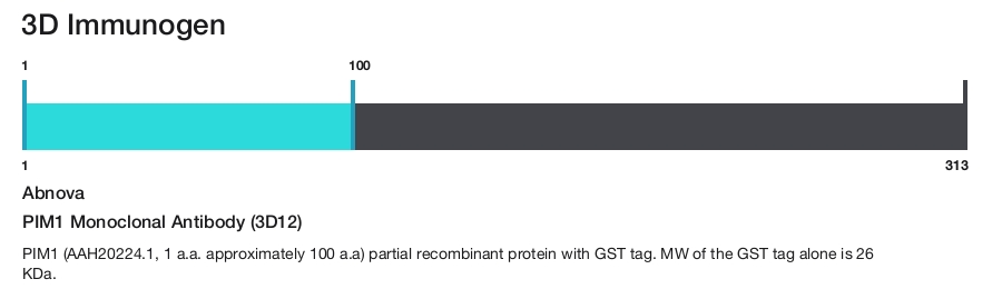 PIM1 Monoclonal Antibody (3D12)