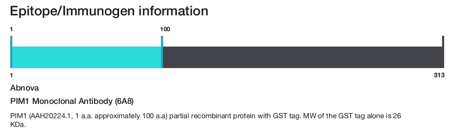 PIM1 Monoclonal Antibody (6A8)