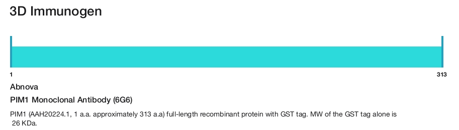 PIM1 Monoclonal Antibody (6G6)