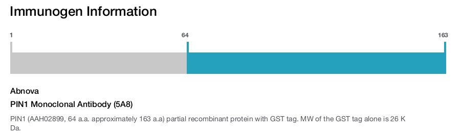 PIN1 Monoclonal Antibody (5A8)