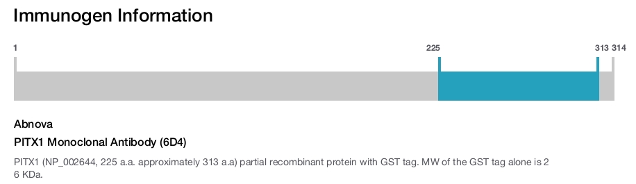 PITX1 Monoclonal Antibody (6D4)