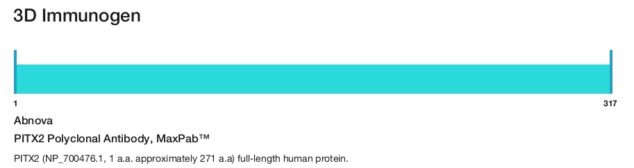 PITX2 Polyclonal Antibody, MaxPab&trade;