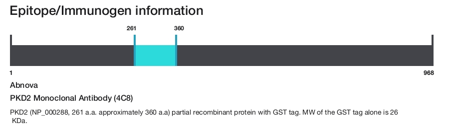 PKD2 Monoclonal Antibody (4C8)