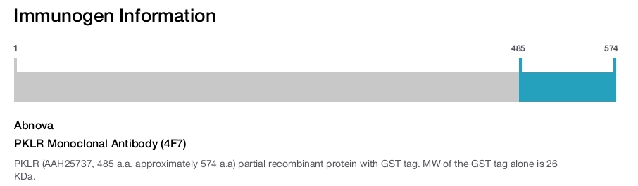 PKLR Monoclonal Antibody (4F7)