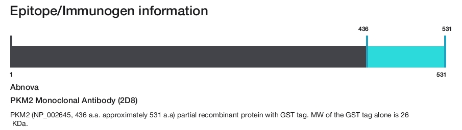 PKM2 Monoclonal Antibody (2D8)