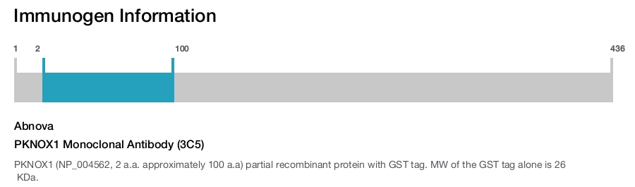 PKNOX1 Monoclonal Antibody (3C5)