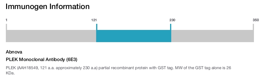 PLEK Monoclonal Antibody (6E3)