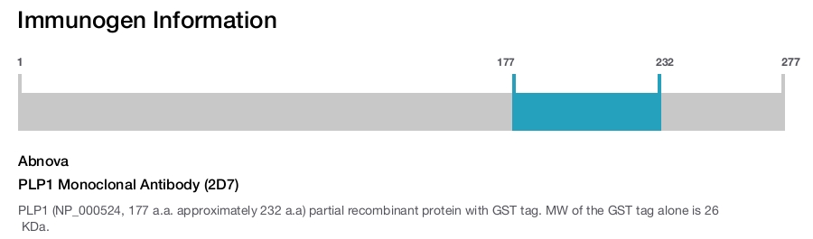 PLP1 Monoclonal Antibody (2D7)