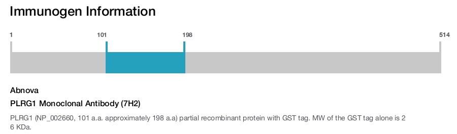 PLRG1 Monoclonal Antibody (7H2)