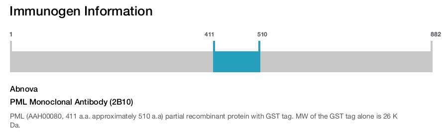 PML Monoclonal Antibody (2B10)