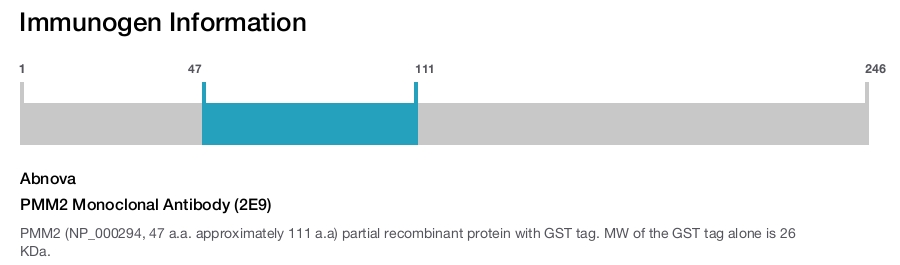 PMM2 Monoclonal Antibody (2E9)