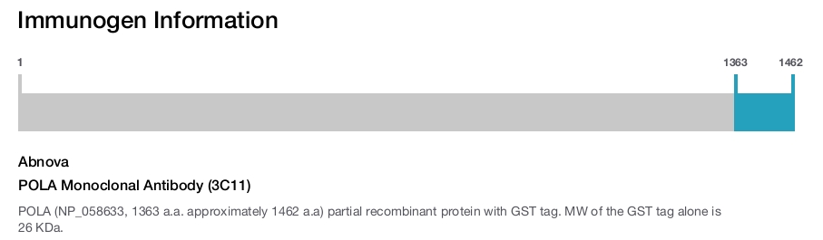 POLA Monoclonal Antibody (3C11)