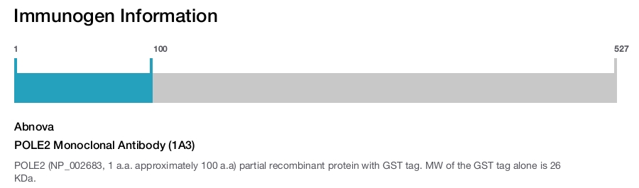 POLE2 Monoclonal Antibody (1A3)