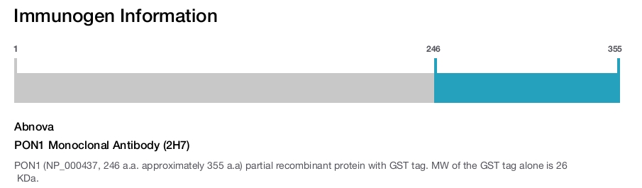 PON1 Monoclonal Antibody (2H7)