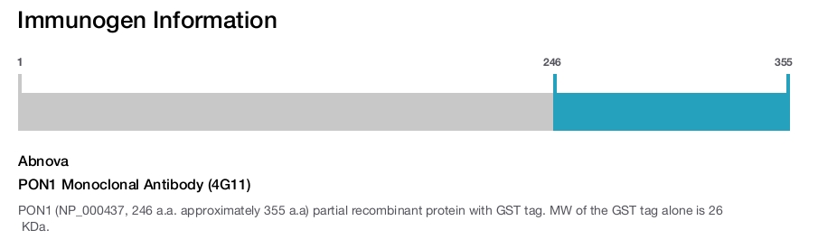PON1 Monoclonal Antibody (4G11)