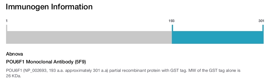 POU6F1 Monoclonal Antibody (5F9)