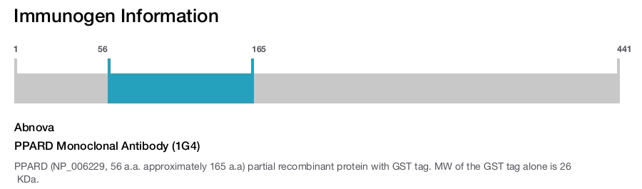 PPARD Monoclonal Antibody (1G4)