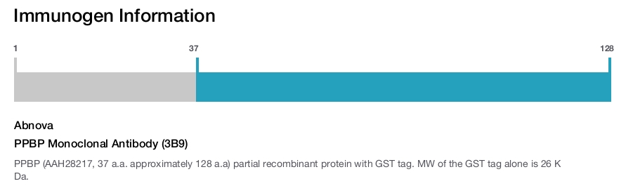 PPBP Monoclonal Antibody (3B9)