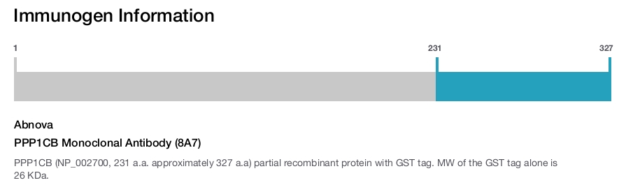 PPP1CB Monoclonal Antibody (8A7)