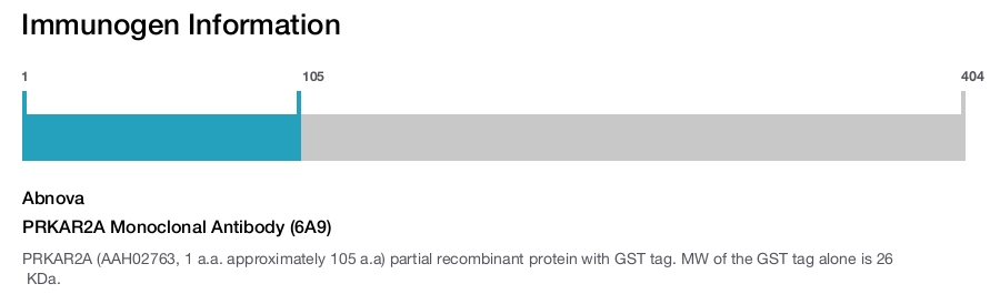 PRKAR2A Monoclonal Antibody (6A9)