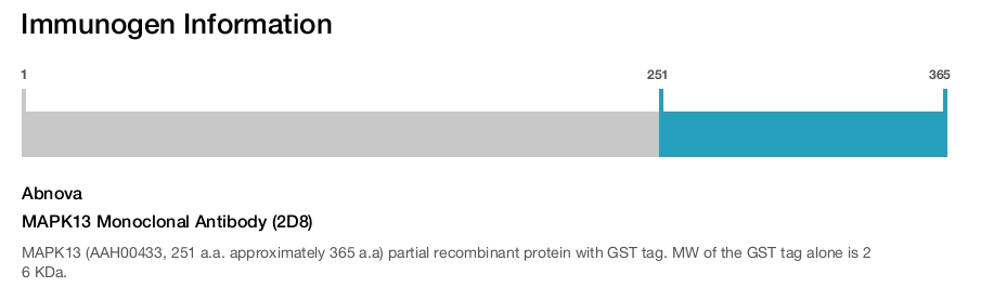 MAPK13 Monoclonal Antibody (2D8)