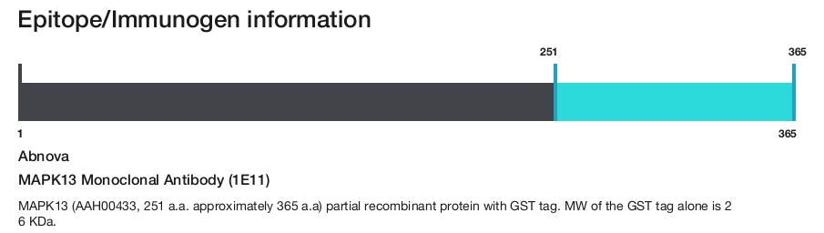MAPK13 Monoclonal Antibody (1E11)