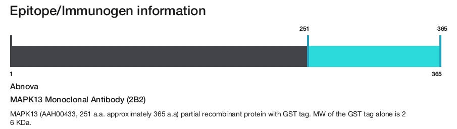 MAPK13 Monoclonal Antibody (2B2)