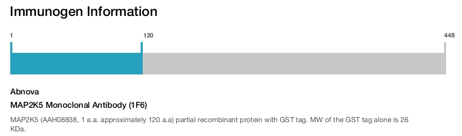 MAP2K5 Monoclonal Antibody (1F6)