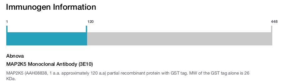 MAP2K5 Monoclonal Antibody (3E10)