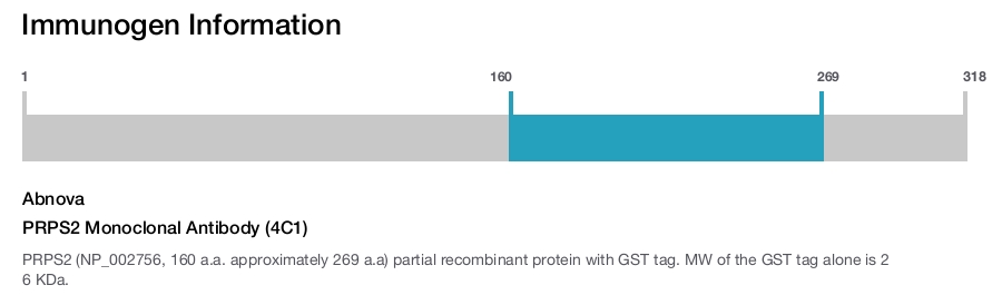 PRPS2 Monoclonal Antibody (4C1)