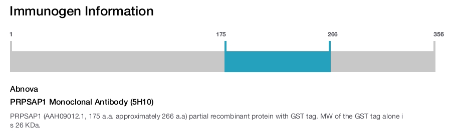PRPSAP1 Monoclonal Antibody (5H10)