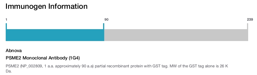 PSME2 Monoclonal Antibody (1G4)