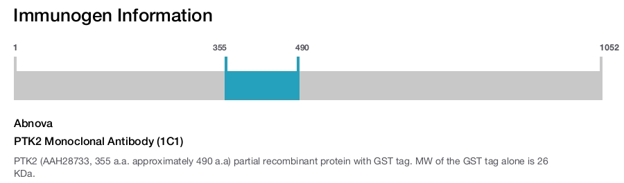 PTK2 Monoclonal Antibody (1C1)