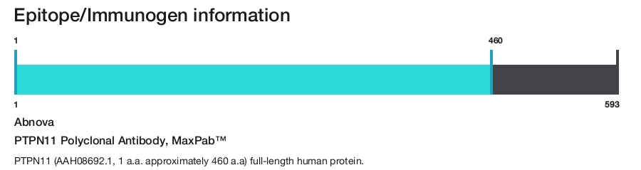 PTPN11 Polyclonal Antibody, MaxPab&trade;