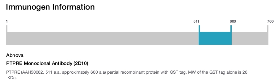 PTPRE Monoclonal Antibody (2D10)