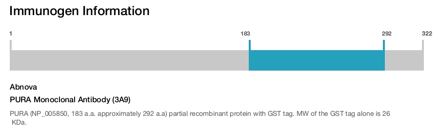 PURA Monoclonal Antibody (3A9)