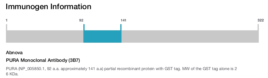 PURA Monoclonal Antibody (3B7)