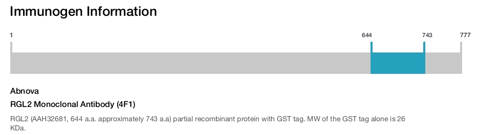 RGL2 Monoclonal Antibody (4F1)