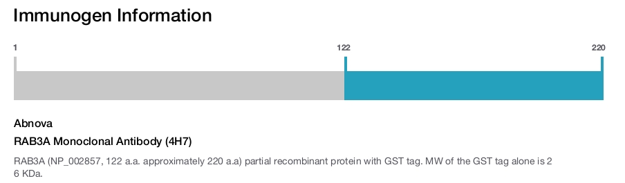 RAB3A Monoclonal Antibody (4H7)