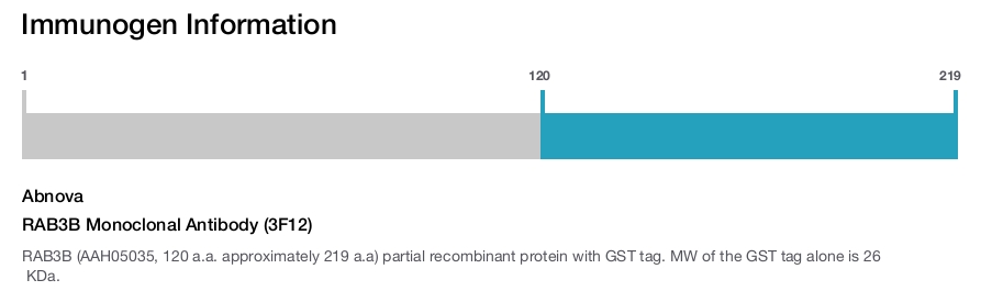 RAB3B Monoclonal Antibody (3F12)